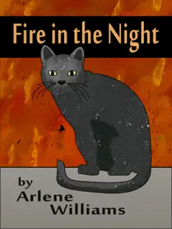 a fire in the night imagen de la portada del libro
