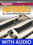 Beginner Harmonica Lessons - Progressive with Audio synopsis, comments