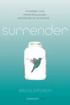 surrender book cover image