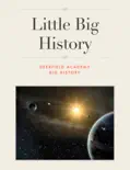 Little Big History reviews