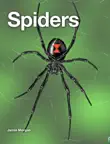 Spiders synopsis, comments
