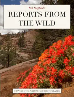 reports from the wild book cover image