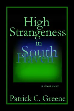 high strangeness in south haven book cover image