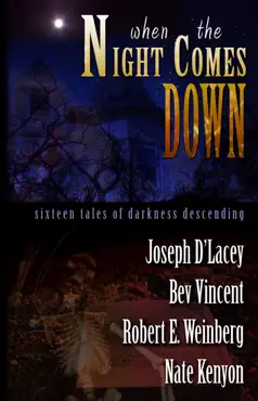 when the night comes down book cover image
