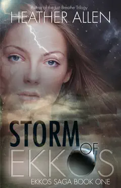 storm of ekkos book cover image