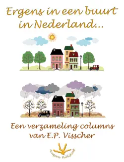 ergens in een buurt in nederland... book cover image