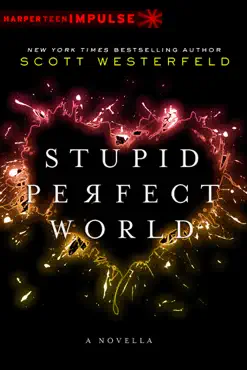 stupid perfect world book cover image