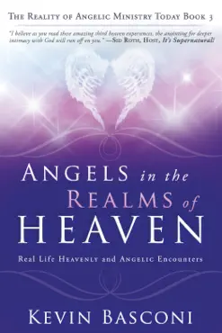 angels in the realms of heaven book cover image