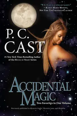 accidental magic book cover image