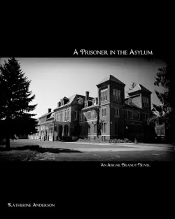 a prisoner in the asylum book cover image