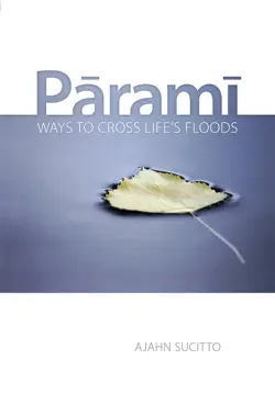 parami book cover image