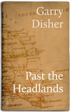 past the headlands book cover image