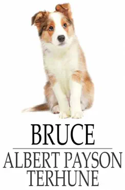 bruce book cover image