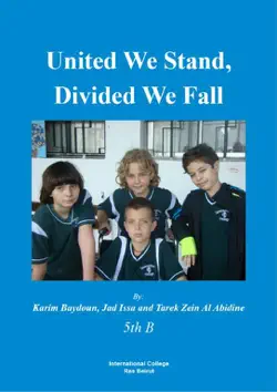 united we stand, divided we fall book cover image