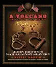 A Volcano Beneath the Snow synopsis, comments