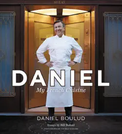 daniel book cover image