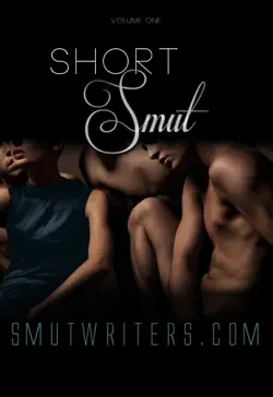 short smut, vol. 1 book cover image