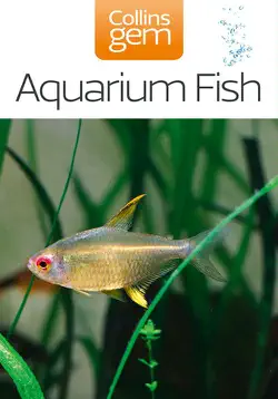 aquarium fish book cover image