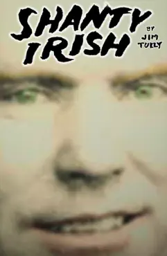 shanty irish book cover image