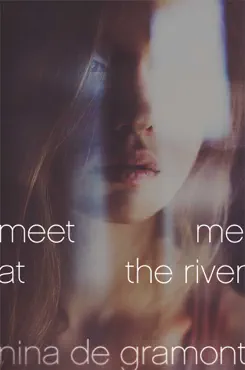 meet me at the river book cover image