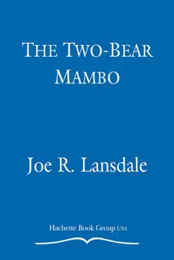 the two-bear mambo book cover image