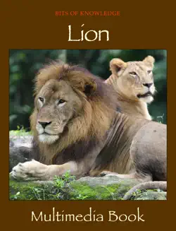 lion imagen de la portada del libro