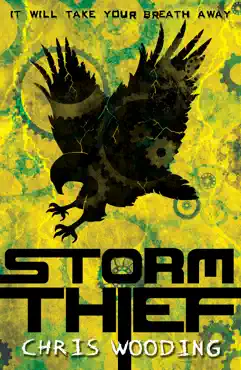 storm thief book cover image