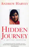 Hidden Journey sinopsis y comentarios
