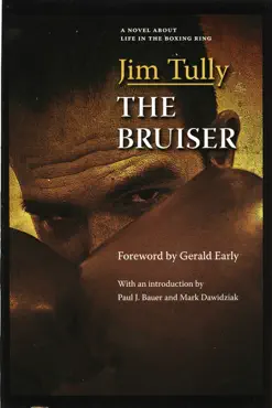 the bruiser book cover image