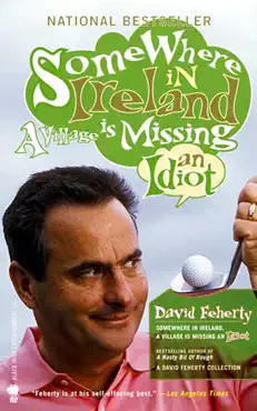 somewhere in ireland, a village is missing an idiot book cover image