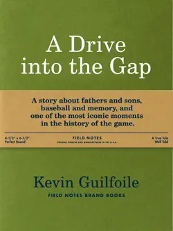 a drive into the gap book cover image