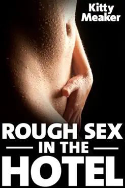 rough sex in the hotel book cover image