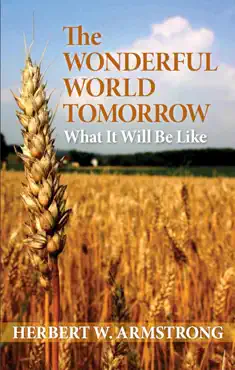 the wonderful world tomorrow book cover image