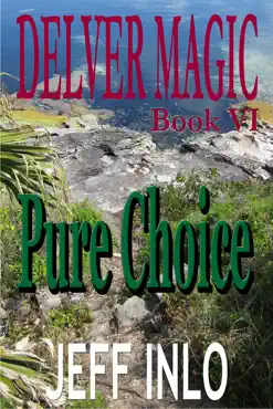 delver magic book vi book cover image