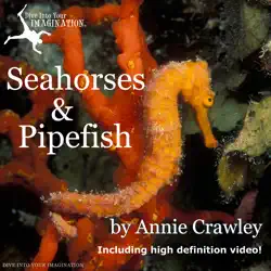 seahorses & pipefish book cover image