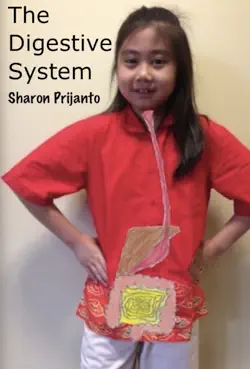 the digestive system imagen de la portada del libro