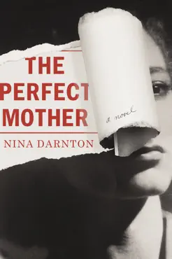 the perfect mother book cover image