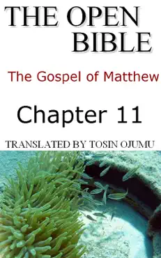 the open bible - the gospel of matthew: chapter 11 book cover image