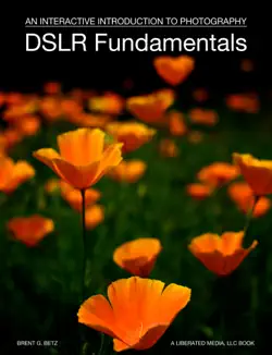 dslr fundamentals book cover image