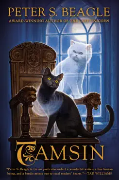 tamsin book cover image