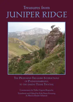 treasures from juniper ridge book cover image