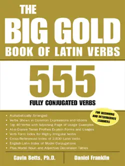 the big gold book of latin verbs book cover image
