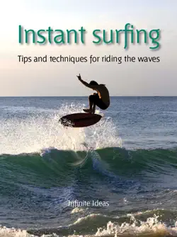 instant surfing book cover image
