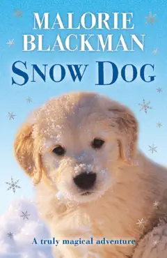 snow dog book cover image
