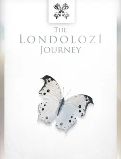 the londolozi journey book cover image