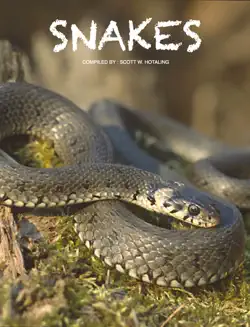 snakes book cover image