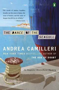 the dance of the seagull book cover image