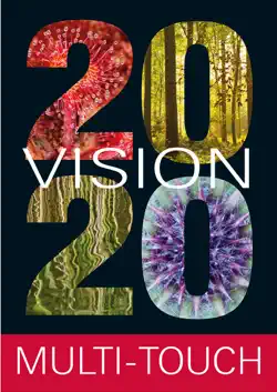 2020 vision book cover image