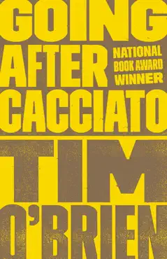 going after cacciato book cover image
