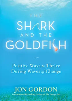 the shark and the goldfish book cover image